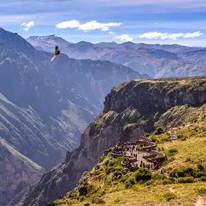 Colca Arequipa