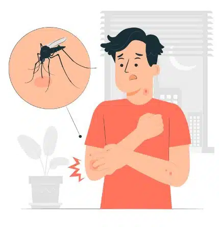 picadura dengue evitar