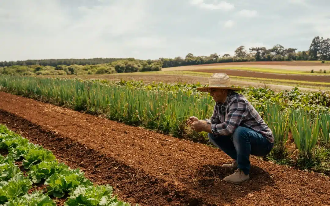 Mapfre Perú fortalece su liderazgo en sostenibilidad con avances concretos en materia ambiental, social y de gobernanza