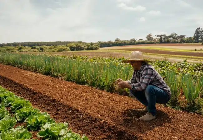 Sostenibilidad-Mapfre