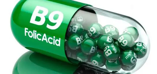 Los beneficios del ácido fólico o vitamina B9