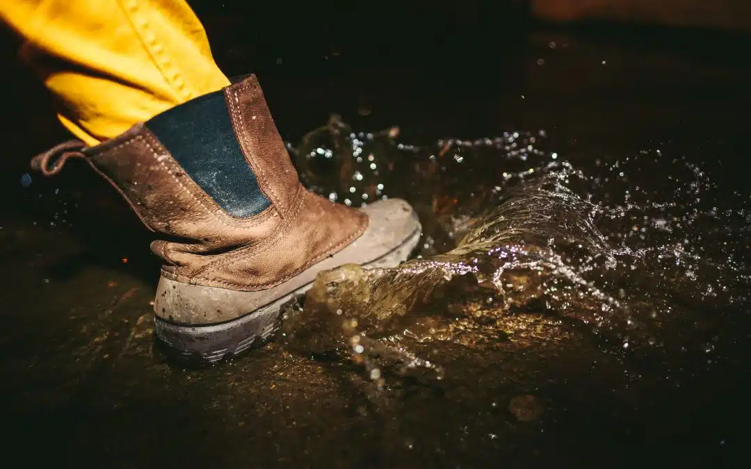 Guía de prevención empresarial ante el Fenómeno El Niño: cómo proteger tu negocio