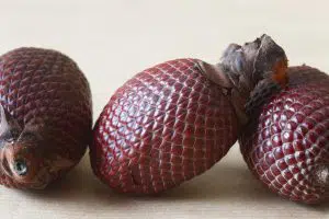 fruta amazónico