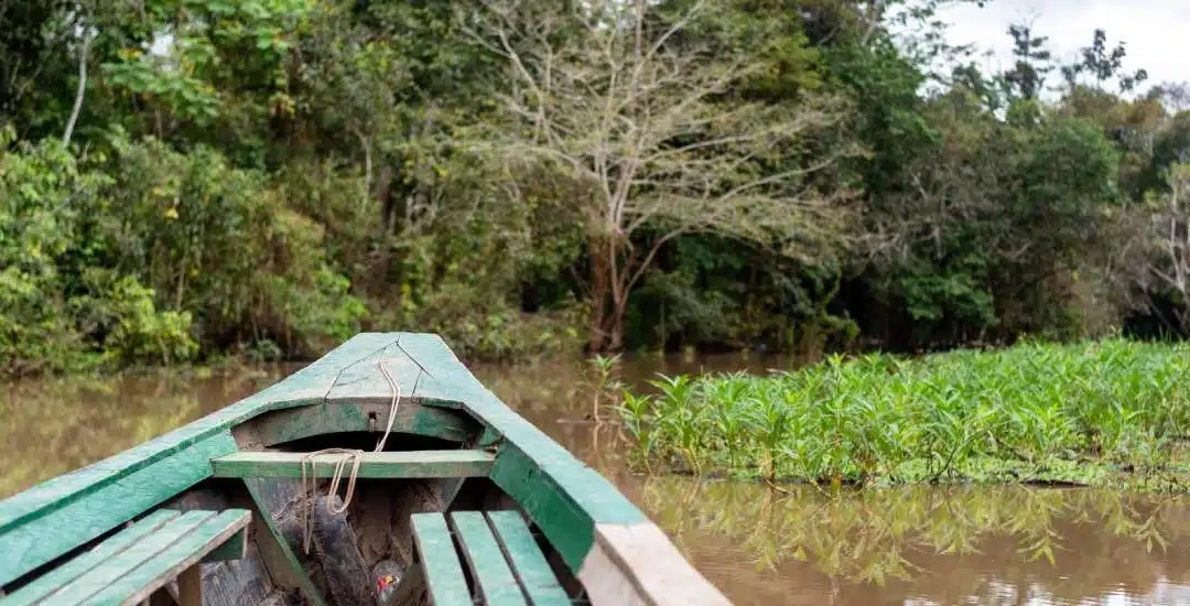 Conoce las mejoras prácticas para viajar a la Amazonía peruana