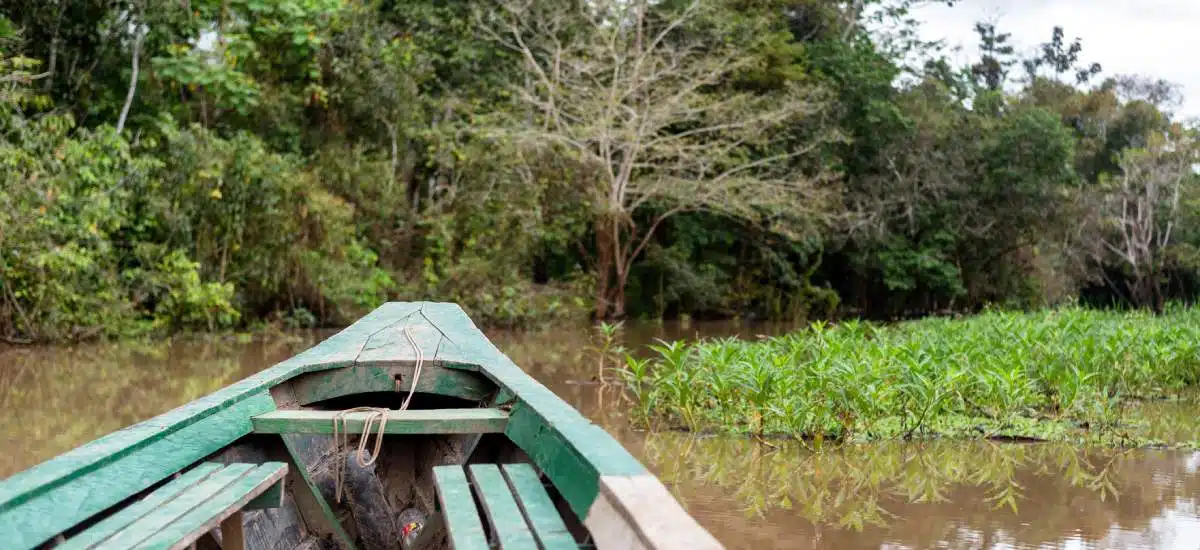 amazonia-green-iniciative