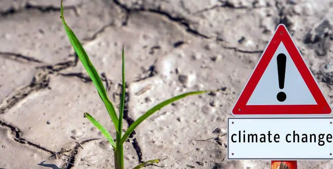 Cambio climático: prevención, conciencia y soluciones sostenibles