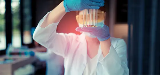 ciencia