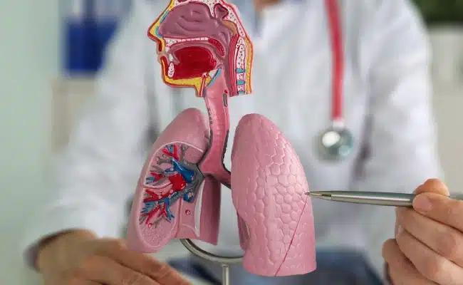 como-proteger-tus-pulmones-mapfre