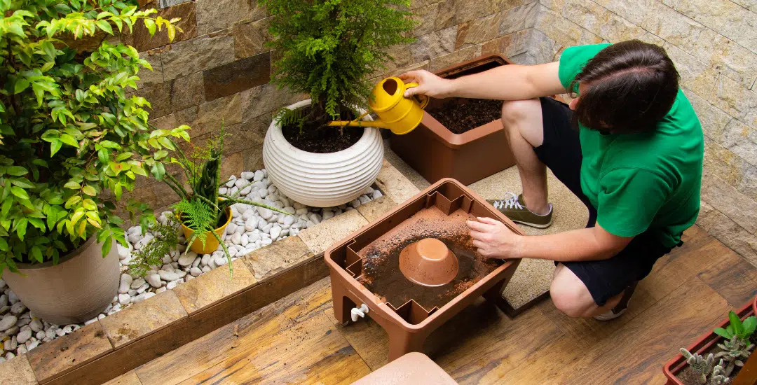 Compostaje: Recicla residuos orgánicos como el mejor abono para tus plantas