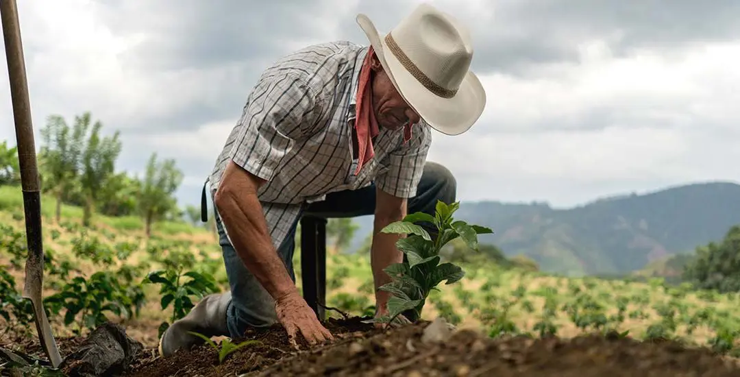 Día del Campesino