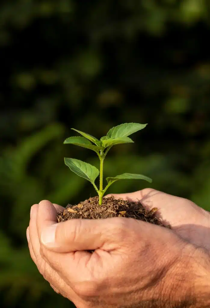 cuidado del medio ambiente