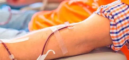 Mitos y verdades de la donación de sangre