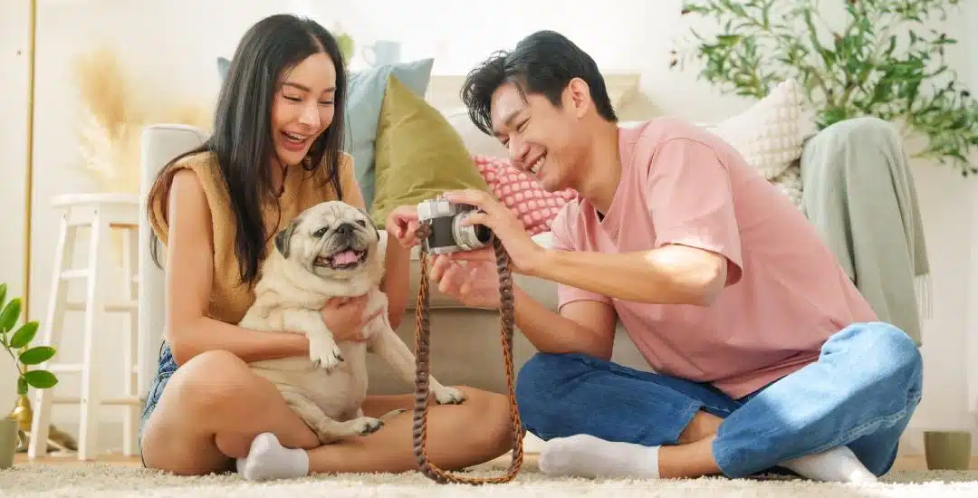 Las razas de perros pequeños ideales para vivir en un departamento