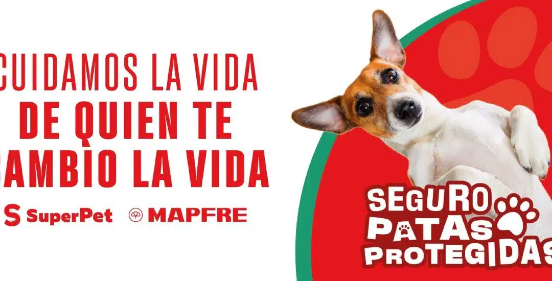 ‘Patas Protegidas’: asegura a los engreídos del hogar con inédito seguro para mascotas