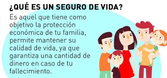 ¿Qué es un seguro de vida? – Infografía