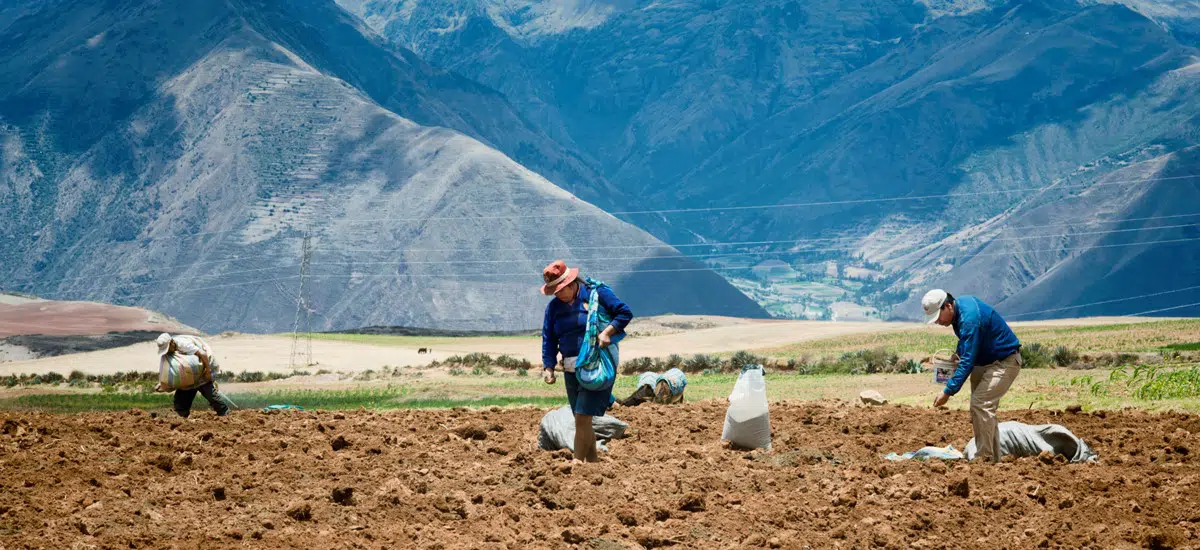 seguro agrícola