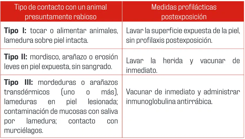 profilaxis rabia cuidados